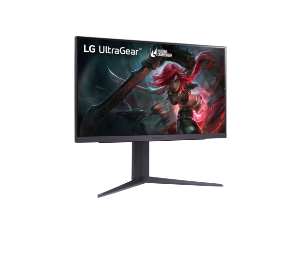 LG UltraGear 25GR75FG-B - 1165822 - zdjęcie 3